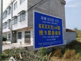 三都墙体广告质量分析